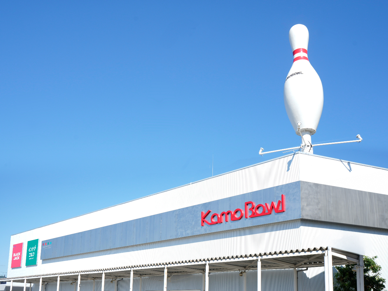 ��΃{�[���̎ʐ^4