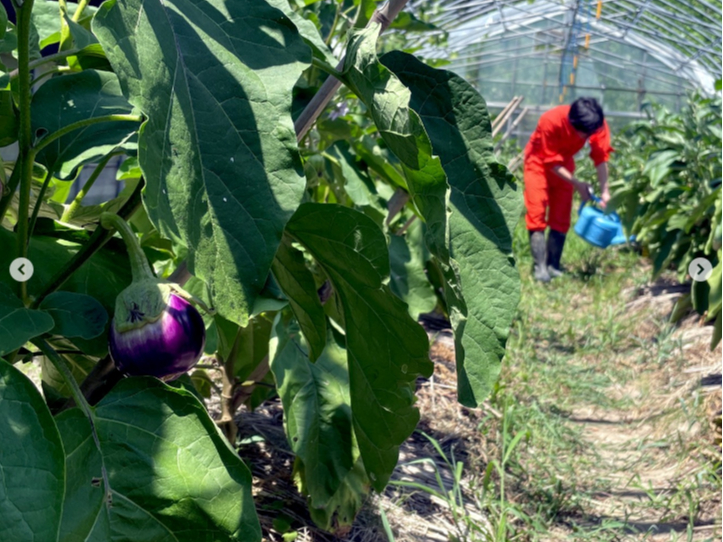 作業も頑張っています♪