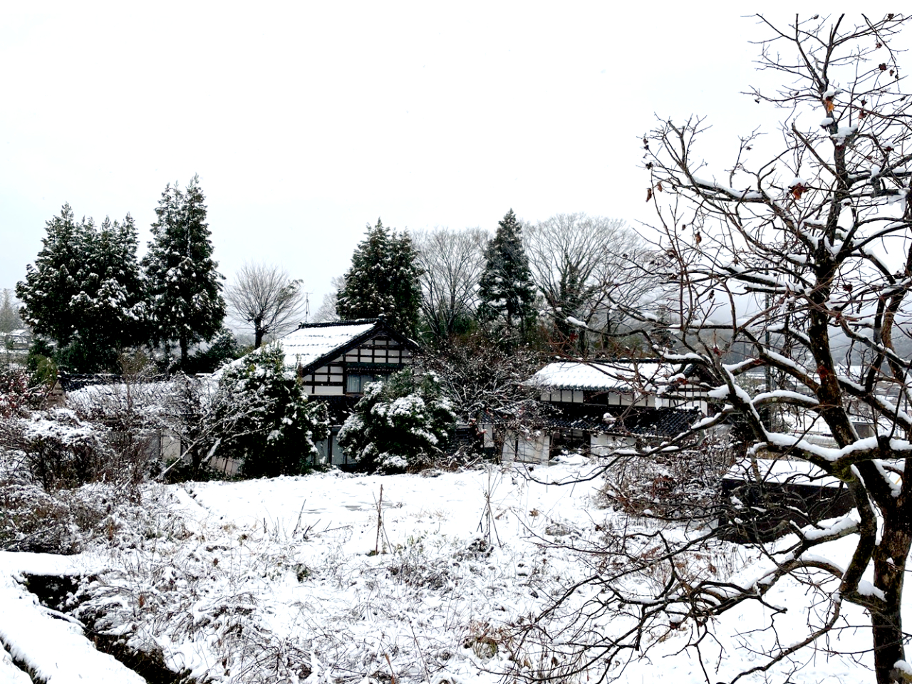 ~̎łAÖƉCȂǁA邱Ƃ͂肾ByłˁB