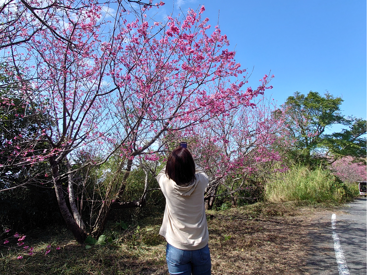 21قǌnÕ~̍B{BꑫԌB