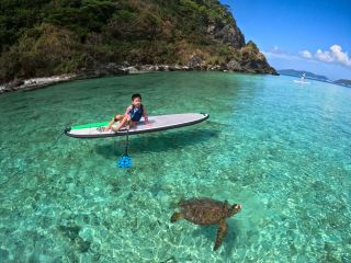 海がめ遭遇率90%以上!