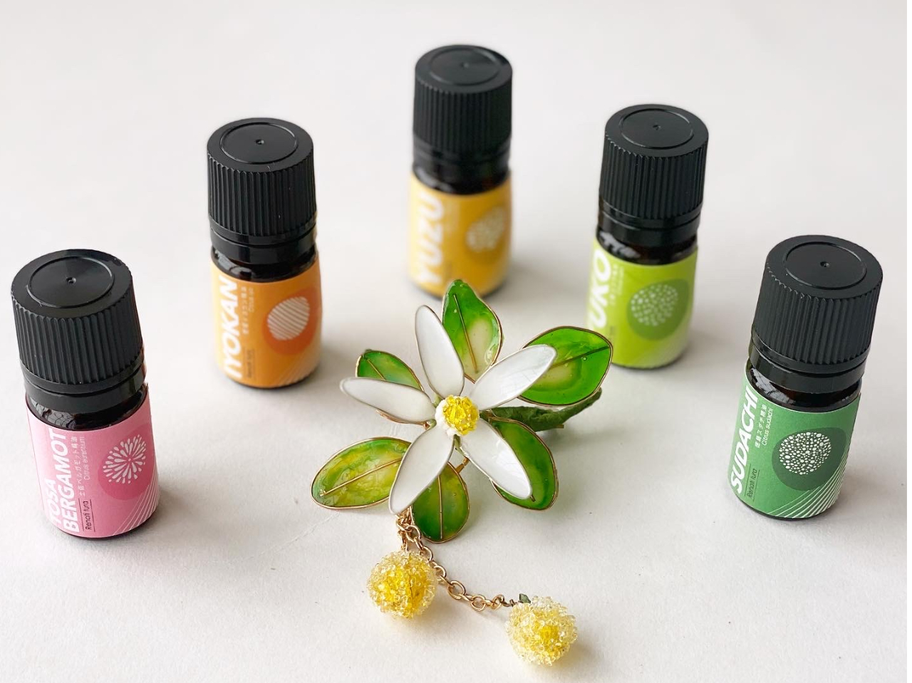 gplYkBE䂱E䂸E悩ExKbgłBu₩Q𔲂Ă܂B