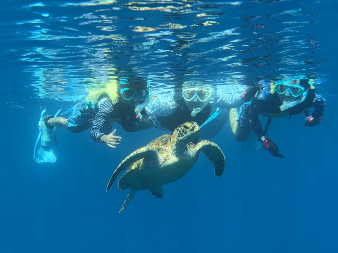 E~KVm[PO@E~KƐ߂ňꏏɉj邩