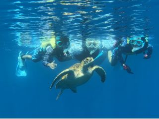 ウミガメシュノーケリング ウミガメさんと凄く近くで一緒に泳げるかも♪