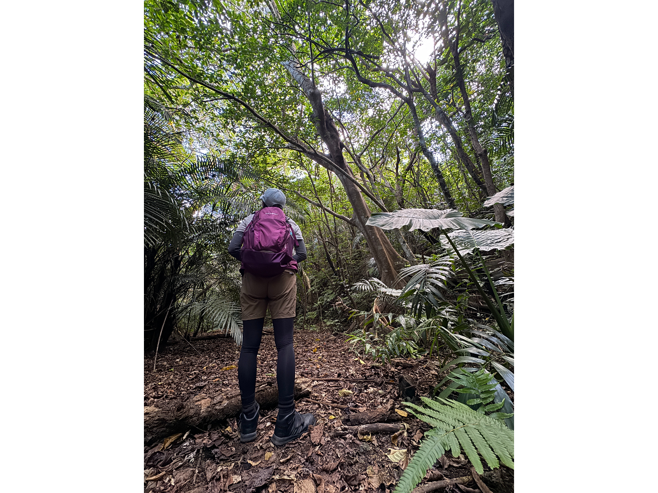 WO̒ő厩Ro}CiXCIɖ܂傤