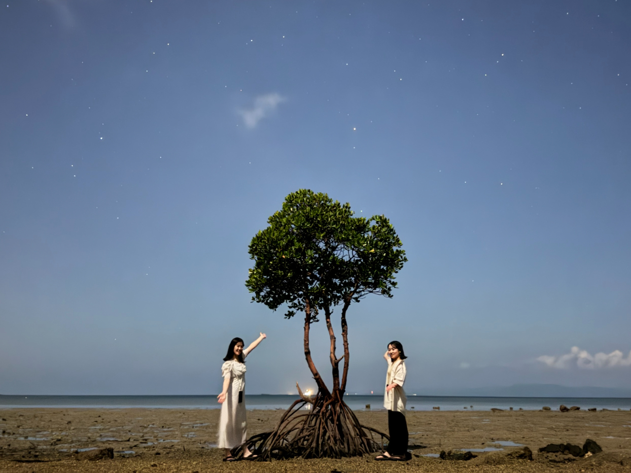 �L���Ȉ�{�q���M�Ɛ���t�H�g(GoGo Tour �B�e)_3