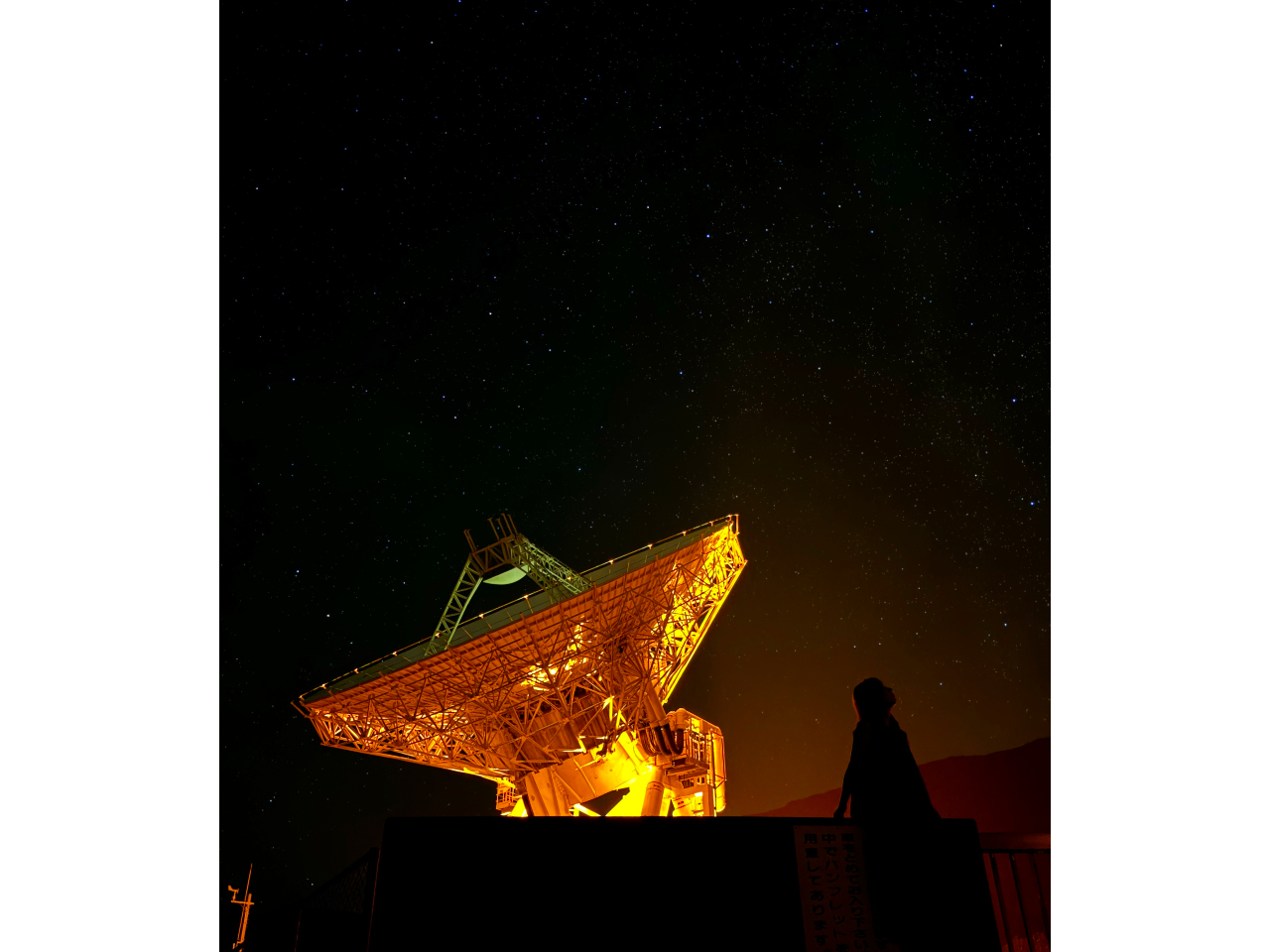 �d�g�]�����x���Ɛ���t�H�g(GoGo Tour �B�e)