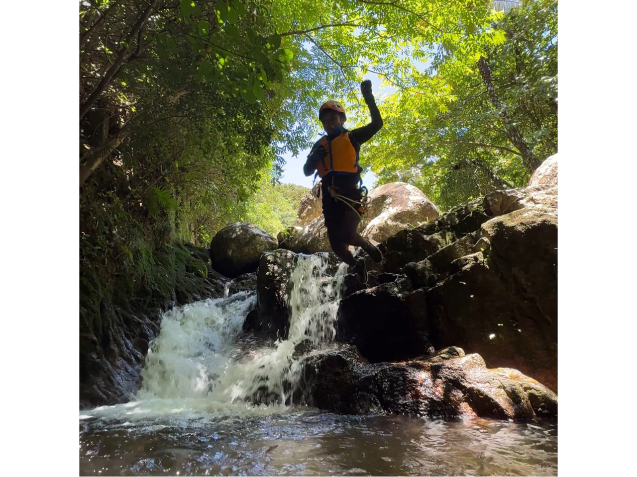 ꂪLjIjȎ햡!ڃ_Cu