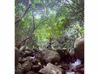 この大自然の沢とジャングルでパワーチャージ!!
