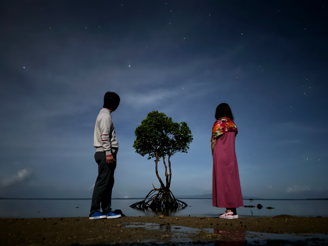 LȈ{qMƐtHg(GoGo Tour Be)_2