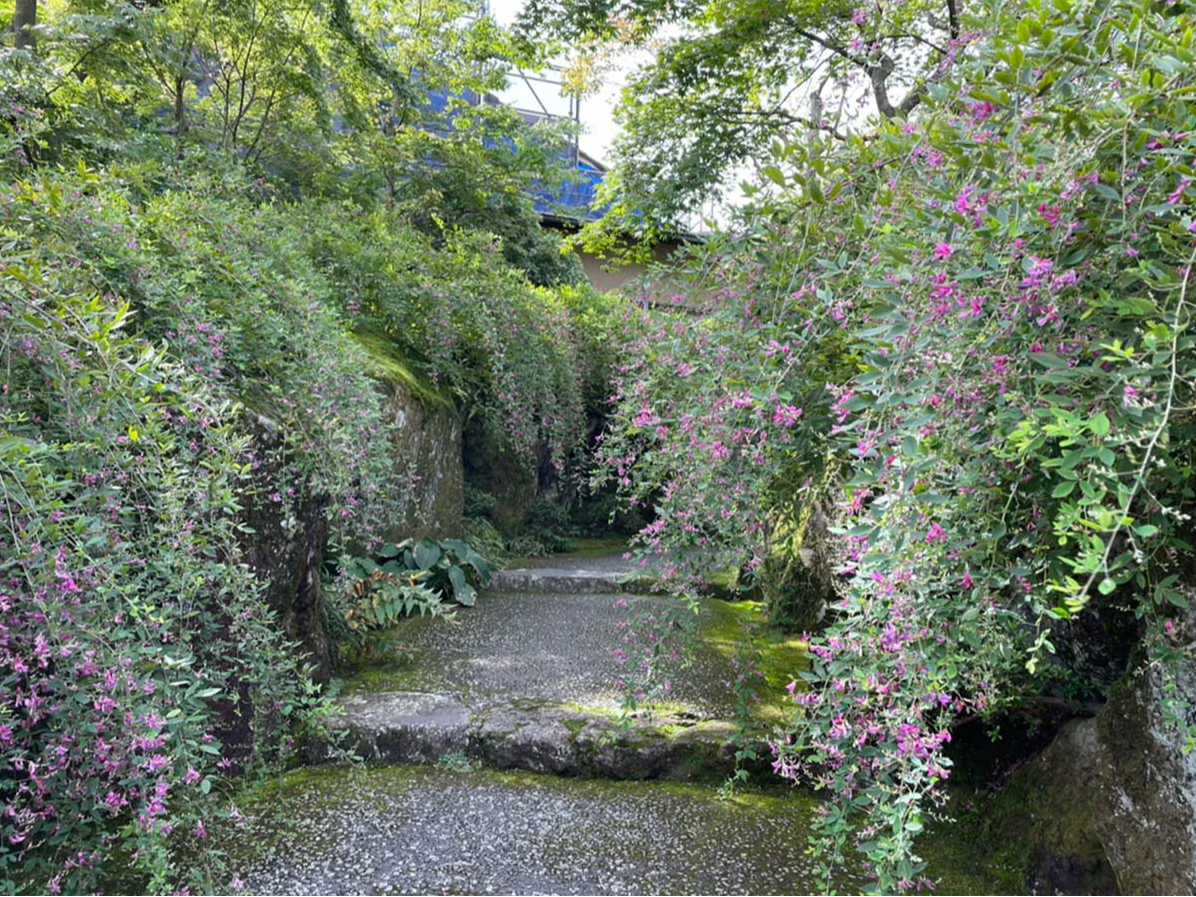 ʊّO̔c{ق֑̗ɖʐς݂̊₪zÅg݂{씋肰ȂBĂ܂B9㒆{̌łB