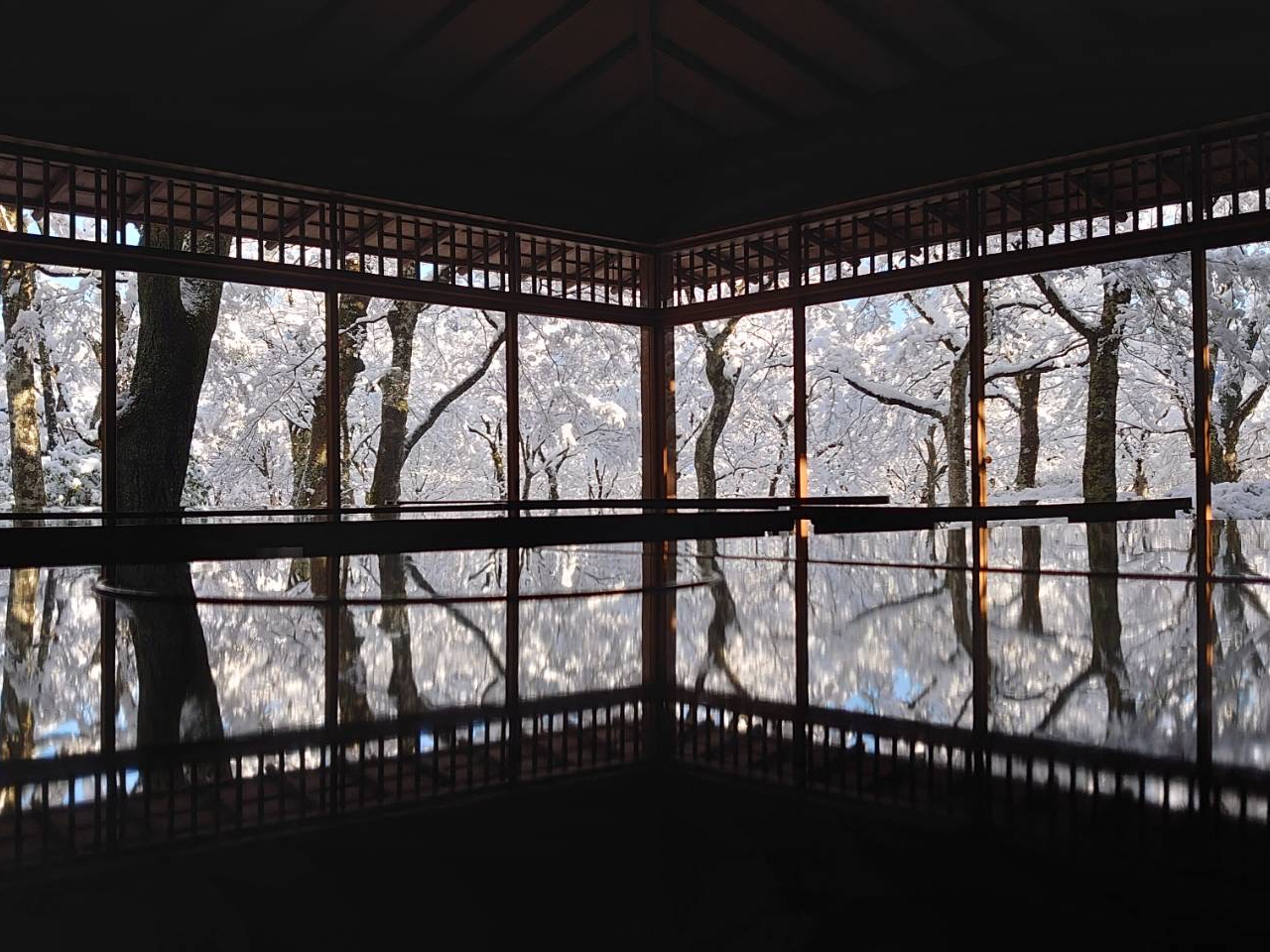 iF̒̒߂łBlG܁X̒̌iςe[uɎʂ荞݁Aʐ^fy߂܂B