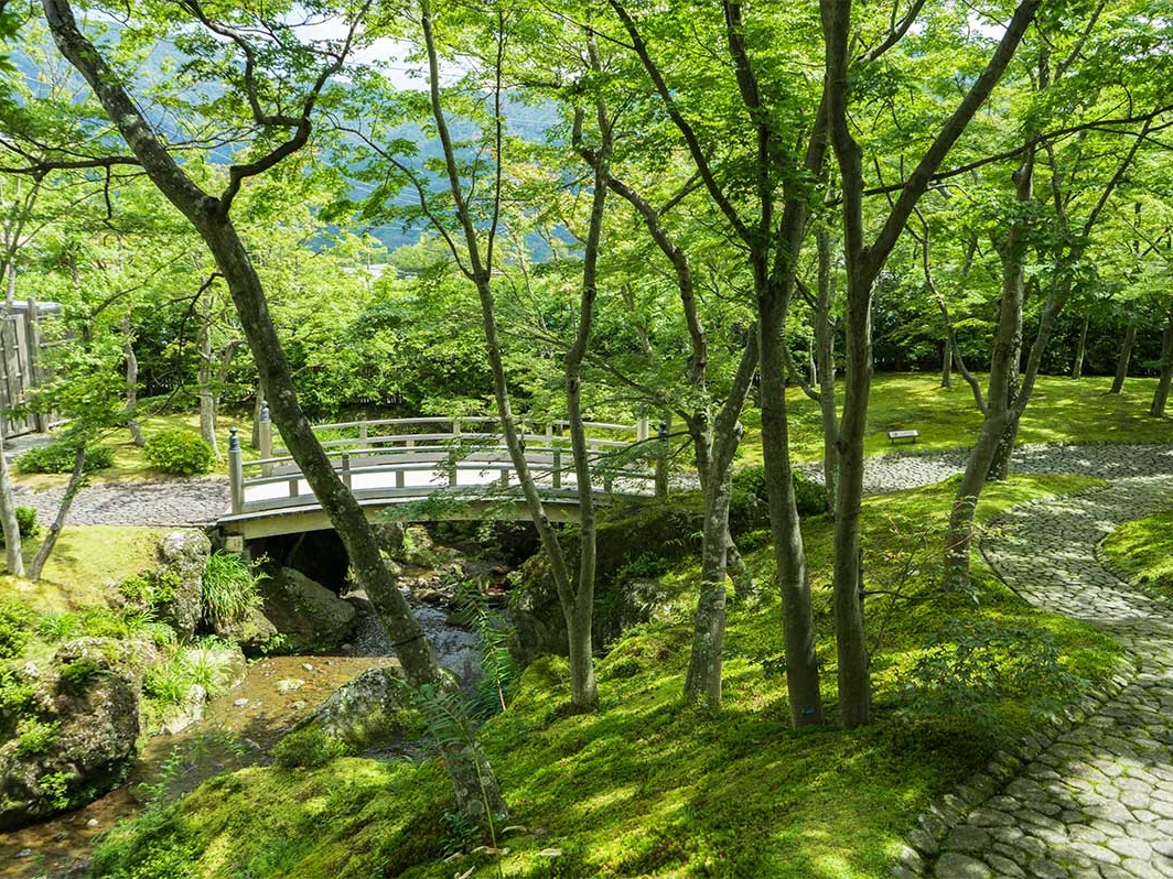 【入館チケット】★25年4月~★箱根エリアの歴史ある美術館で≪自然×美術鑑賞≫事...