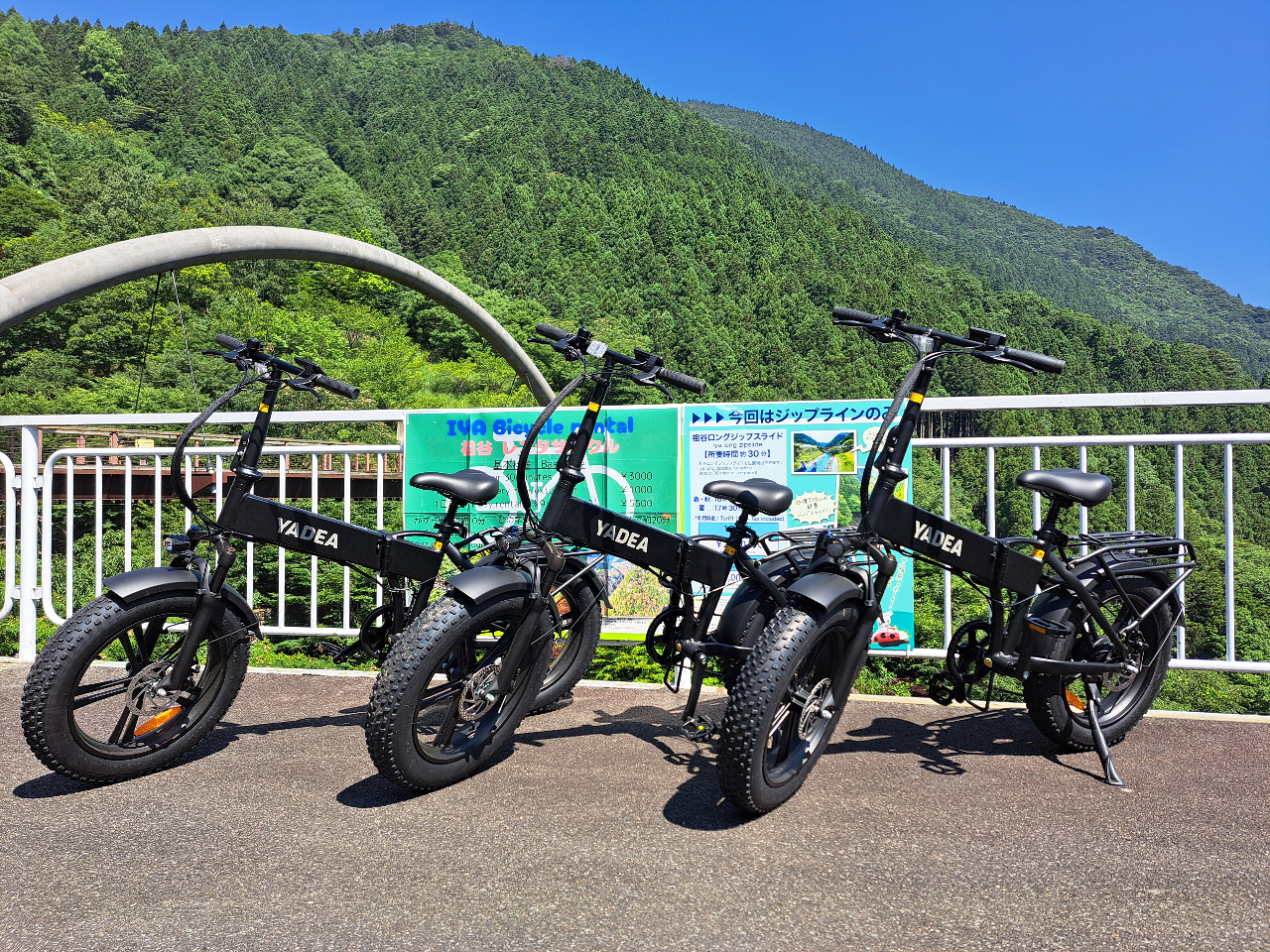 【らくらく♪電動アシスト付きレンタサイクル1.5時間~1日利用】 祖谷の名所をた...