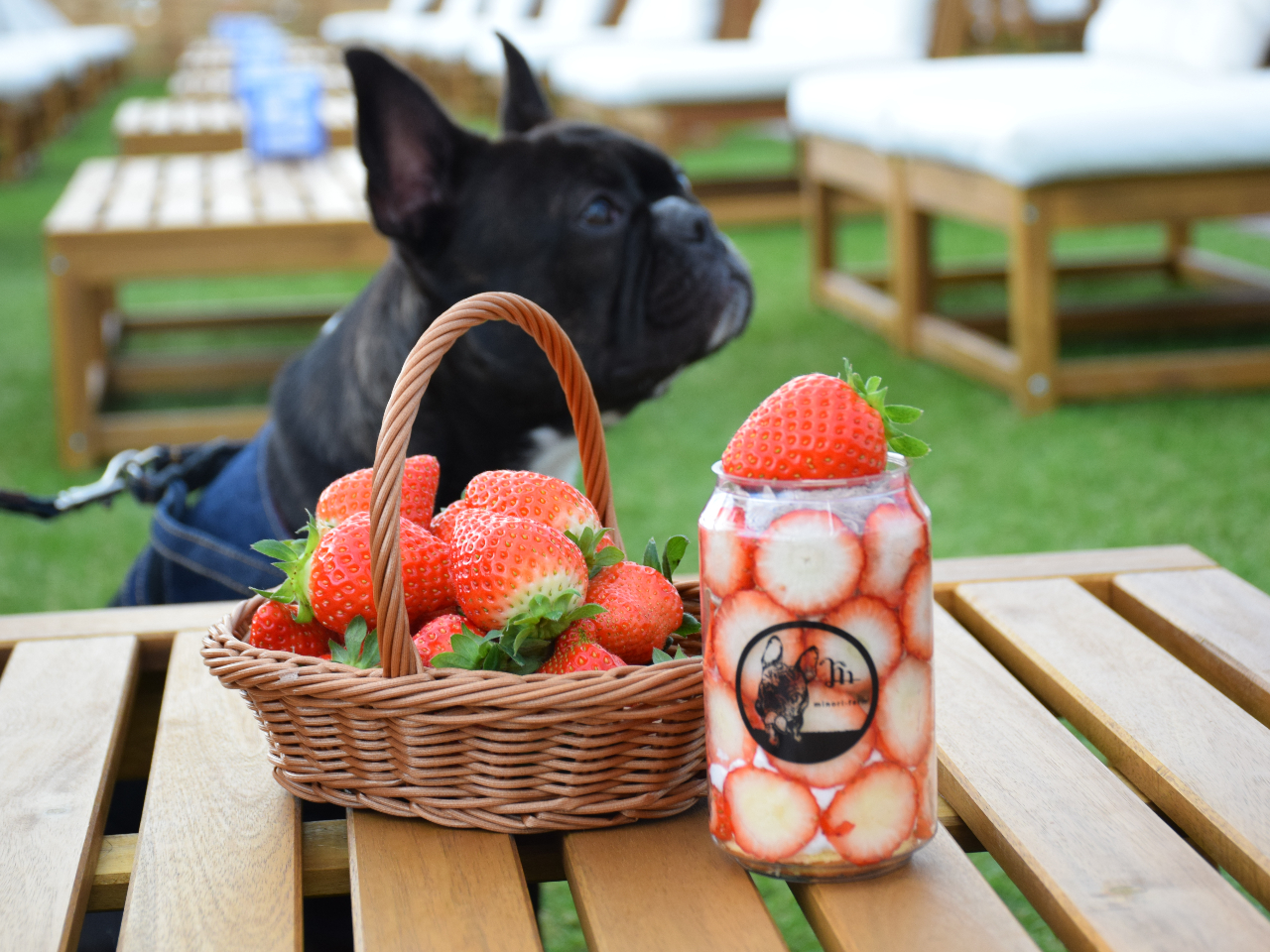 �I���W�i���P�[�L�ʍ��̌��t���B