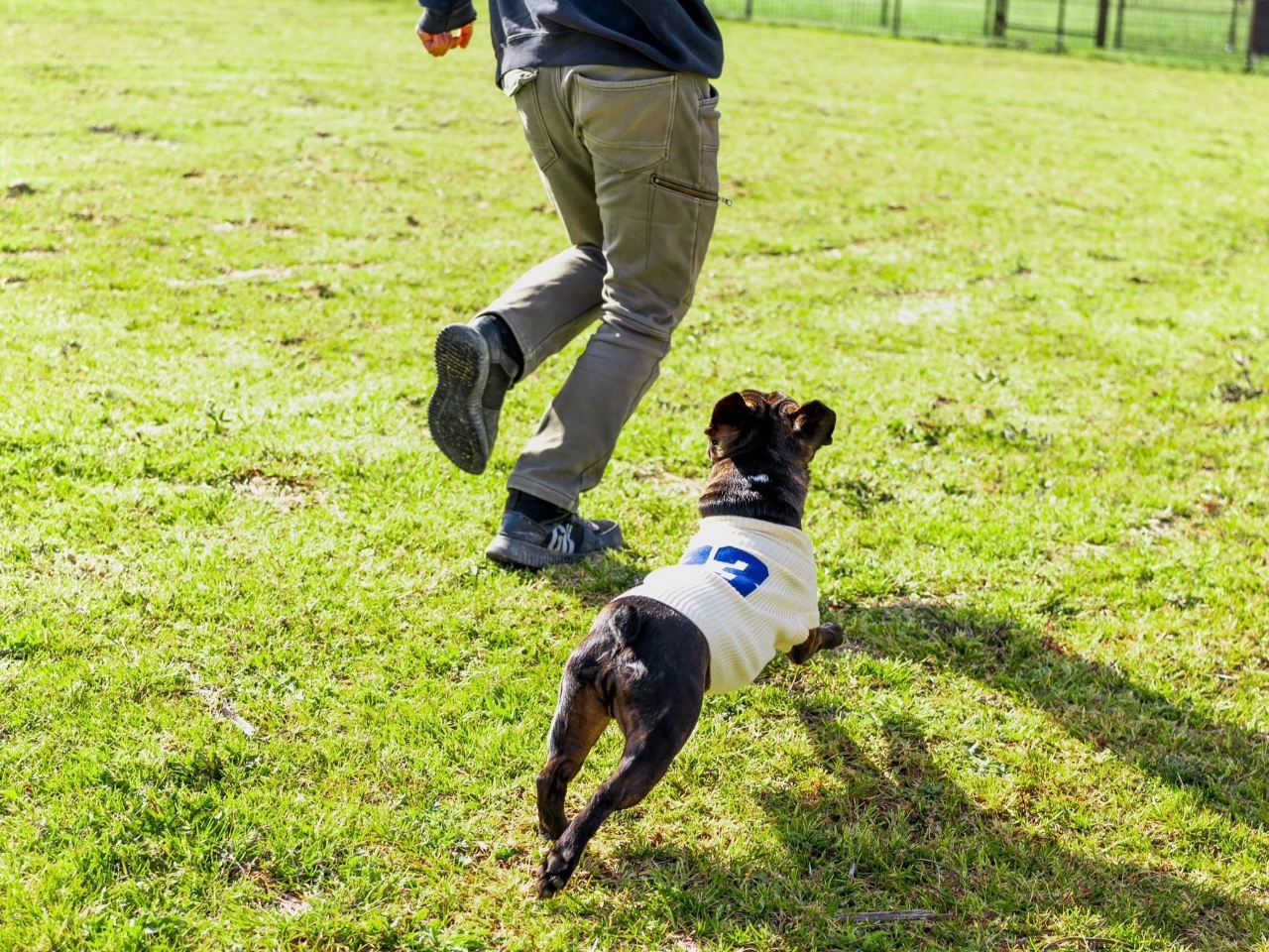 ڂ̑Oɂ͔i΂ƔǎRn]ł鉮OhbNBvCx[ghbOB