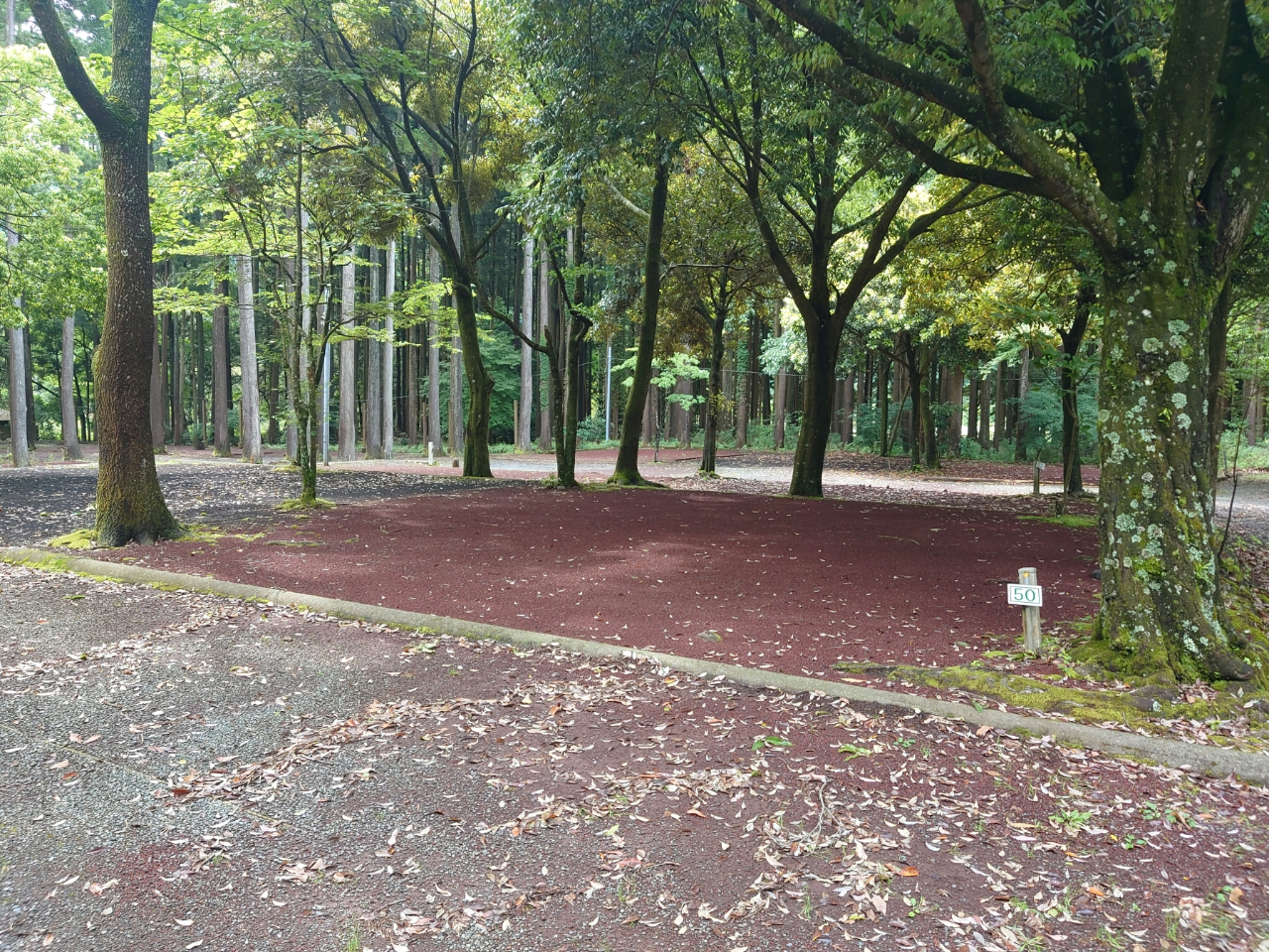 egTCgłIĂɂ͑u₩ȊBBQł܂