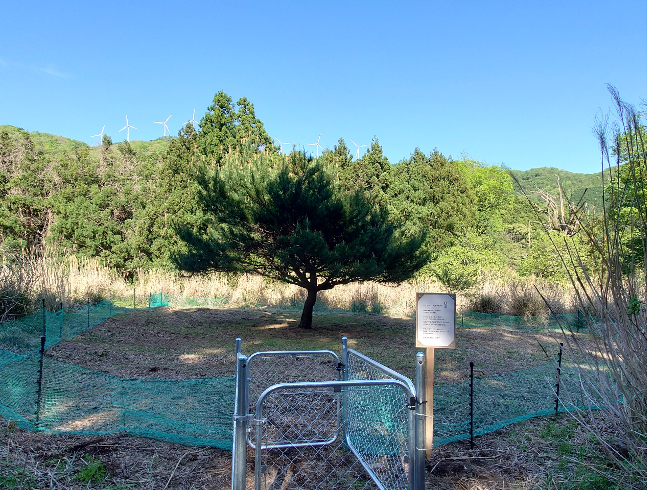 手づくりドッグランで愛犬もストレス解消★