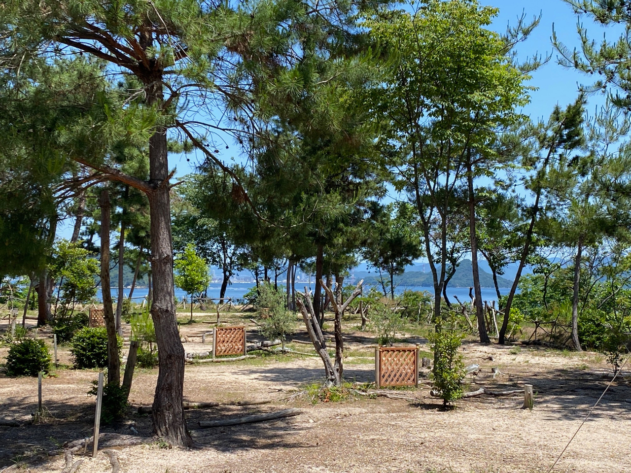 eegTCǵASwVȏmہiԃGAʁjBԏꂩ͂PO`QOxŁAt[J[gŊyɉו^ׂ܂B