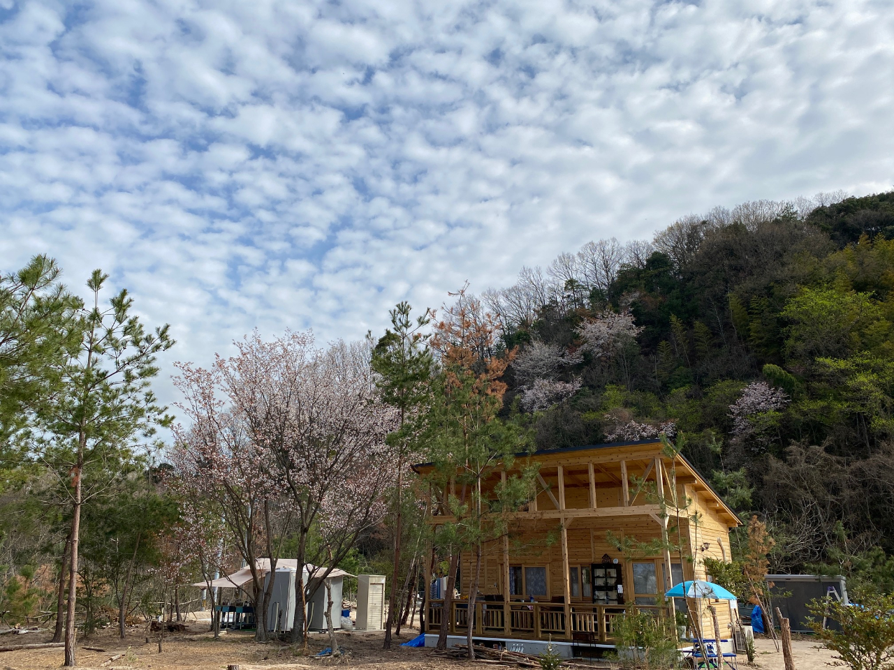 E̎̓I[i[ZŖԏ풓Bp{݁Bɍ؁B