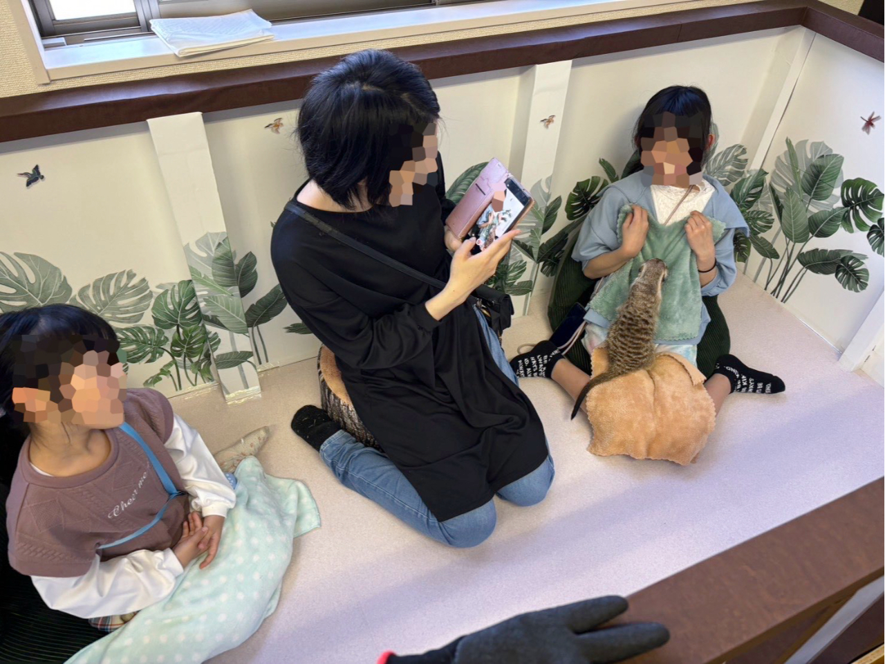 ŋTVɂǂoꂷ~[ALbgIXł́AӂꂠXy[XɓĒꏏɊyЂƂƂ߂o܂I