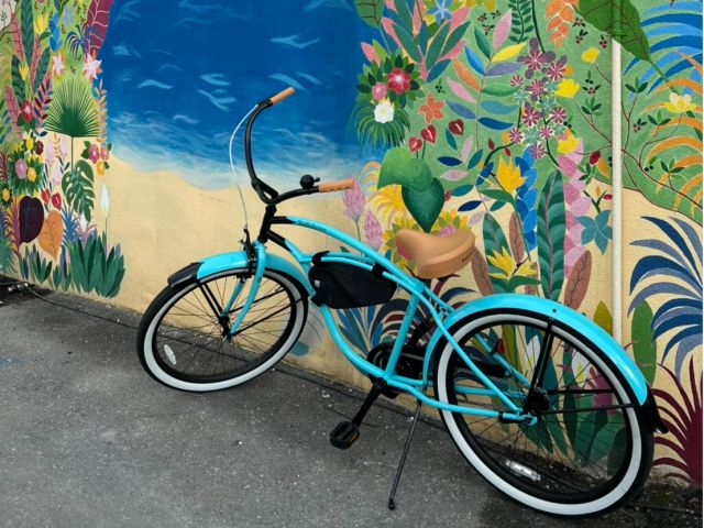 カリフォルニア生まれのビーチクルーザーは名護の海と相性抜群