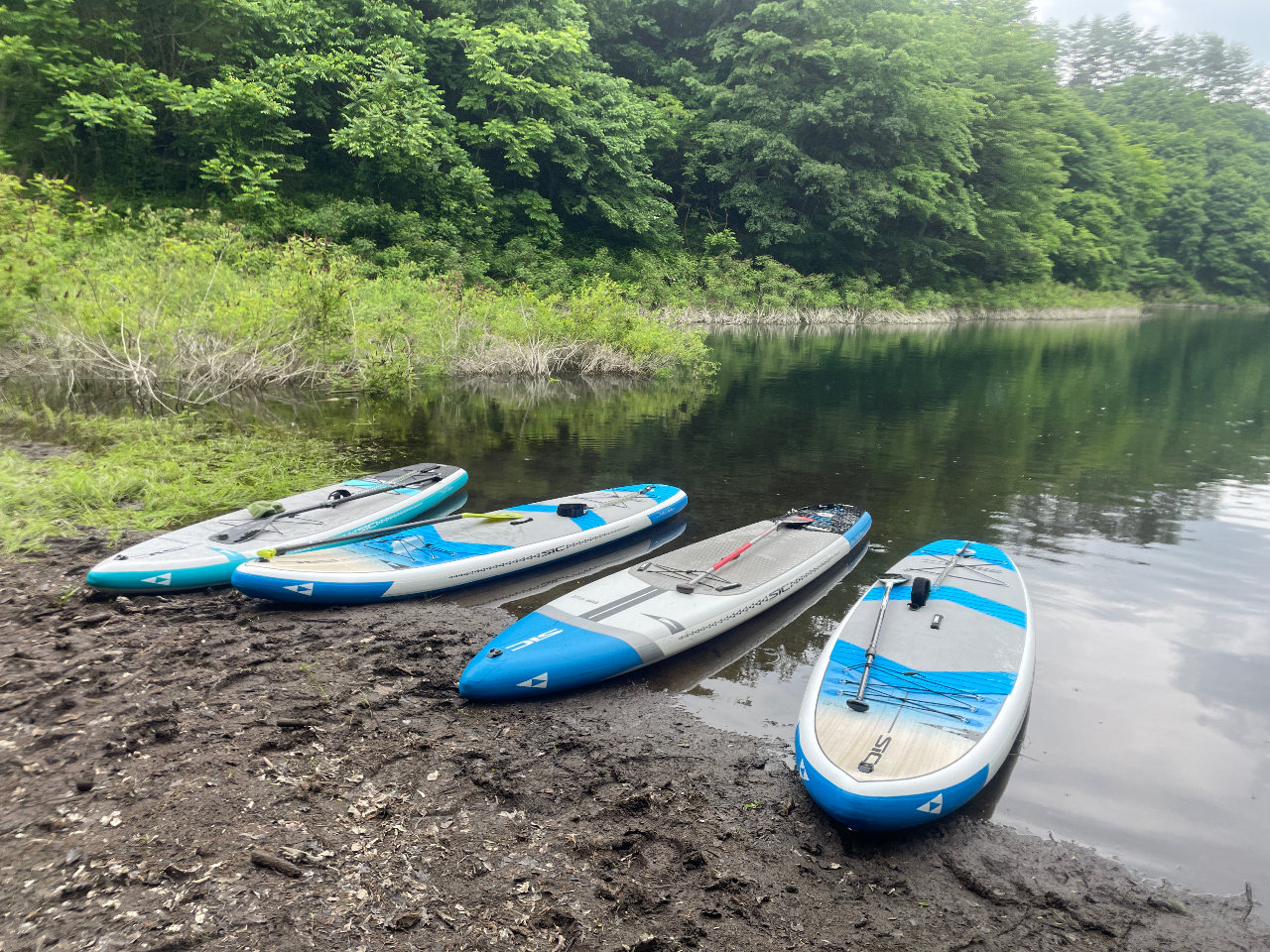 初心者でも扱い安いボード♪