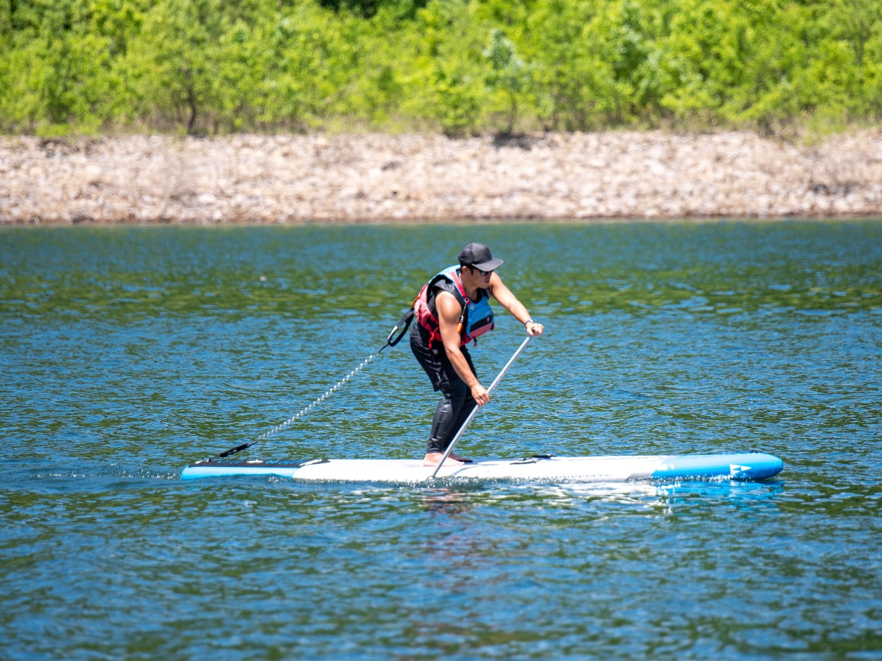 MySupݐpR[XłI̎gtB[hɂēAv]ɉĂē܂I