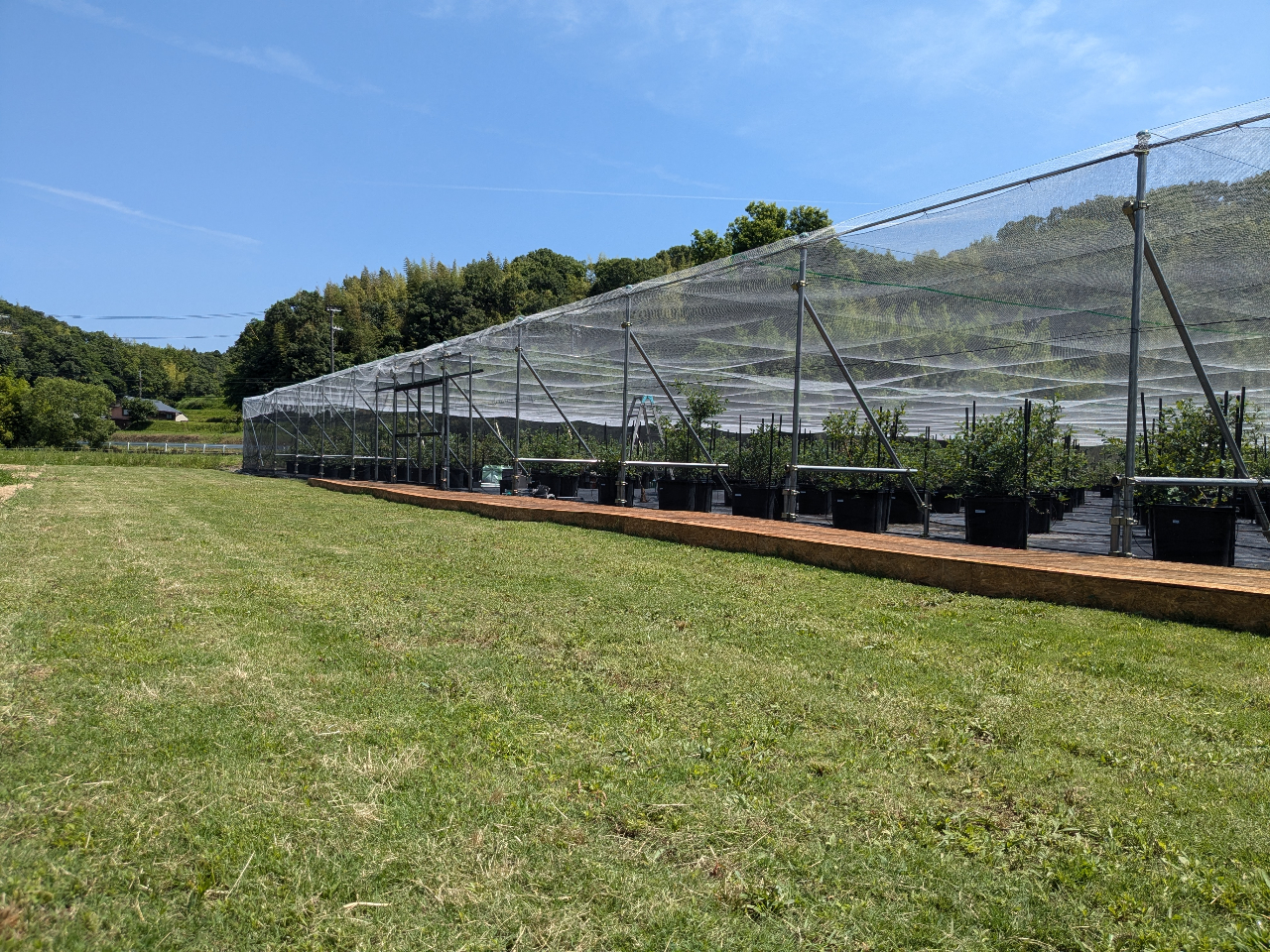 Oɂ͎ŐLĂ܂Bqƈꏏɋ삯Ă݂ĂB