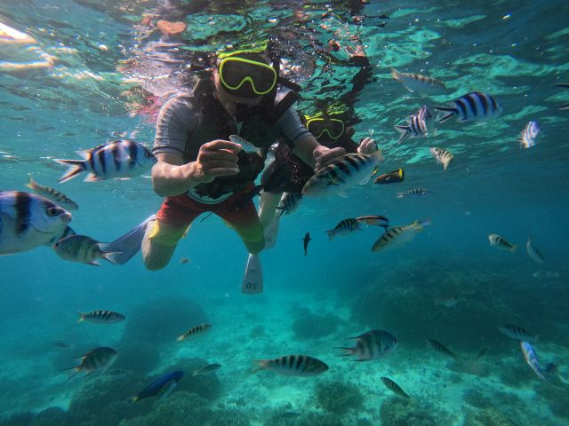 当日の海況でお魚が沢山いるポイントやサンゴ礁が広がるポイントへご案内致します♪