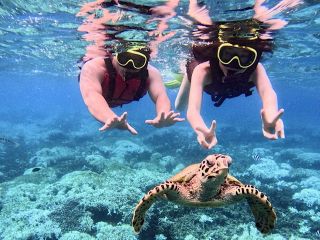 運が良ければ念願のウミガメとツーショットも♪
