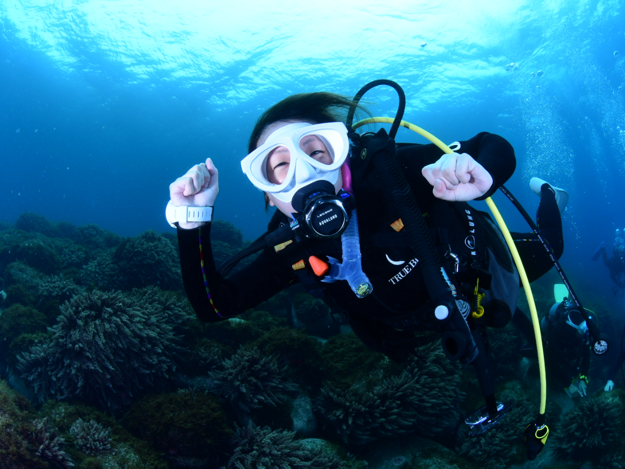 【午後の部:13時~】伊豆・川奈の初心者専門店★体験ダイビング★口コミ&安全性に...