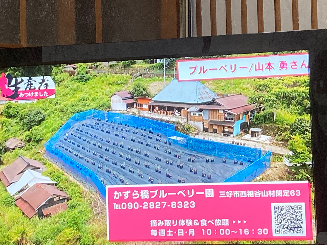 �n���r�c�P�[�u���e���r�ŕ��f����܂����B�u���[�x���[���ƃJ�t�F�̕��i���ƂĂ��킩��₷���ł��B