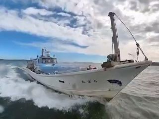 12人まで乗船可能なしっかりした船で、いざ、セントレアへ♪