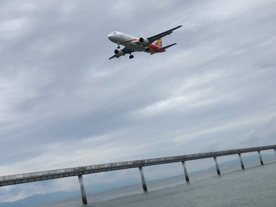 s@̐^A唗͂̒V[BÅB eVオ܂