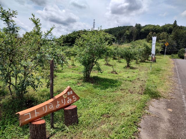 道路沿いにのぼりと看板が見えたらそこが農園です
