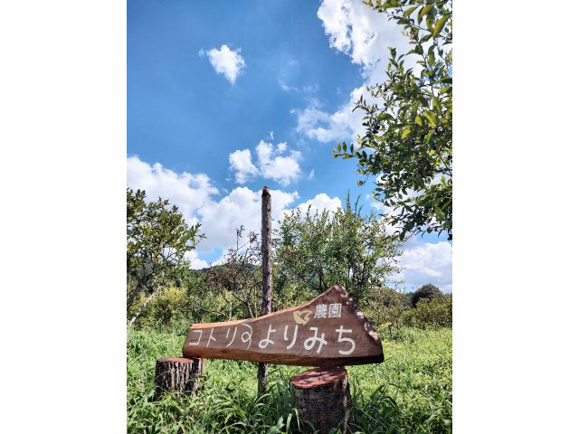 手作りの看板が目印です