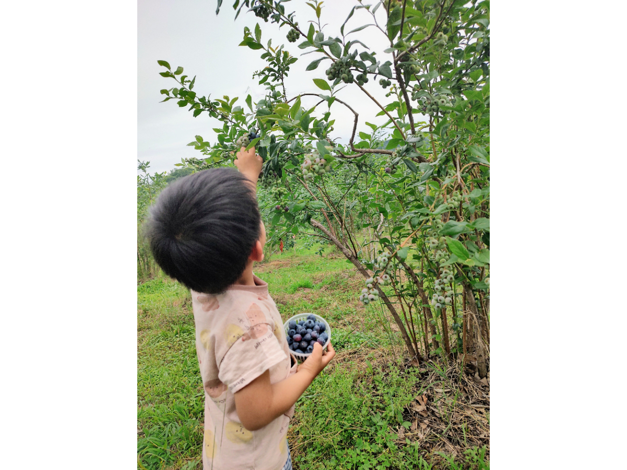 u[x[ň́AqlłE݂₷ʒuɂȂĂ܂BqlRɐGȂ玩IɊy߂ANeBreBłB