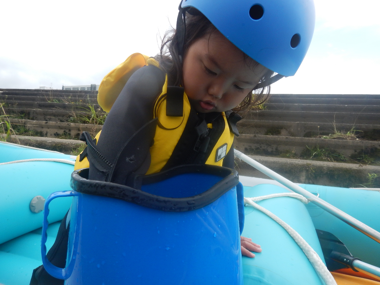 �����K�l���o�P�c�̑���ɂ���