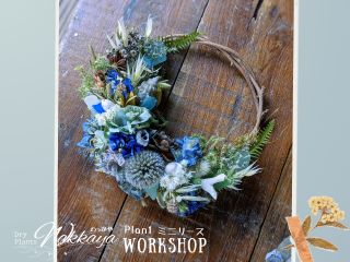 直径13?15cm程のミニリース。花や葉、実、種の殻。100種類以上の植物から、あなたの好きな植物を選んでつくりましょう。