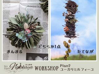 Plan2 ユーカリミルフィーユ まんまる・たてながどちらか1点 ユーカリポポラスの葉をワイヤーに100枚程さして簡単カワイイ飾りをつくります。