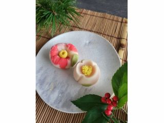 12月(寒椿、冬牡丹)