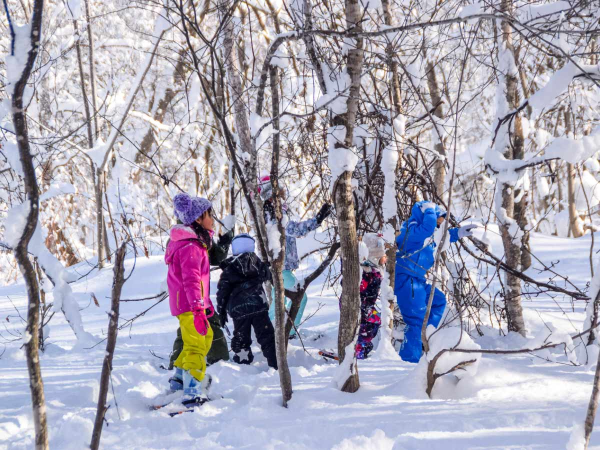 例:半日キャンプアクティビティ