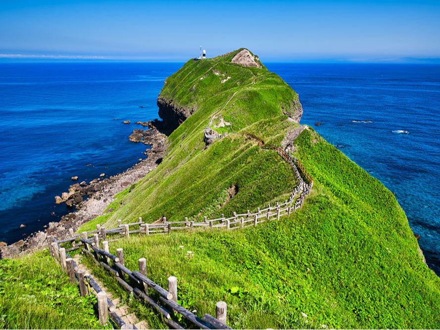 北海道札幌発! 積丹半島・小樽 日帰りバスツアー 積丹神威岬+小樽運河+小樽市内...