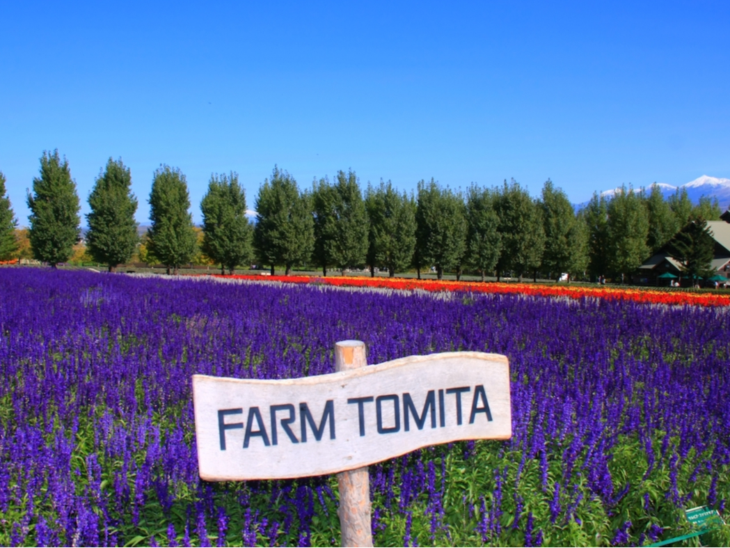 �t�@�[���x�c