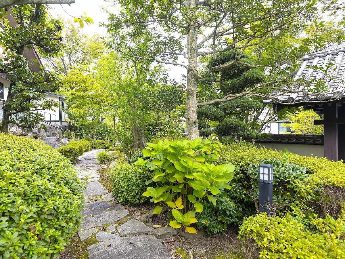 緑豊かな中庭