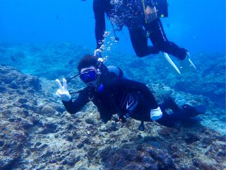 ダイビング風景