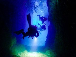 ダイビング風景