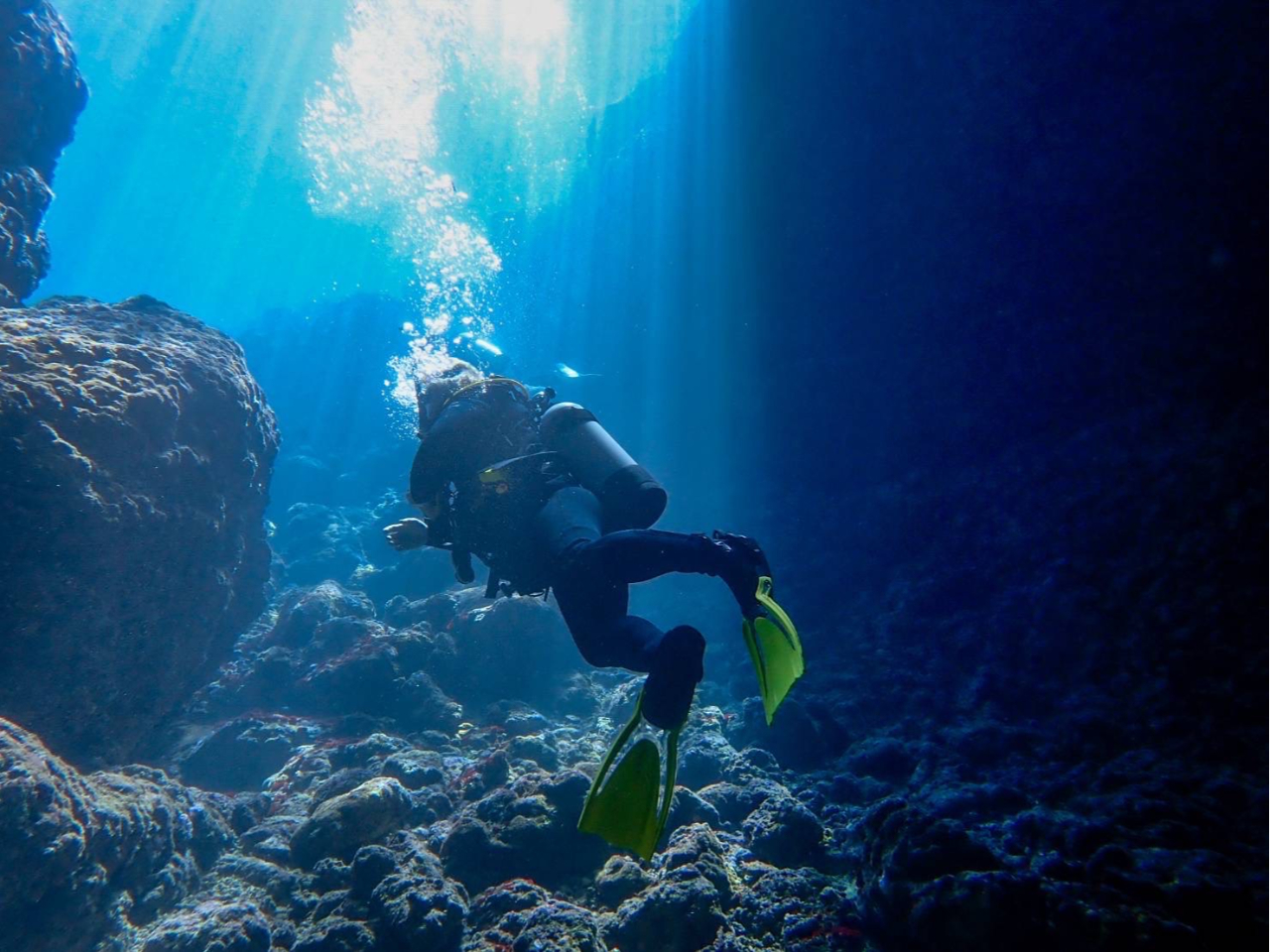 �_�C�r���O���i