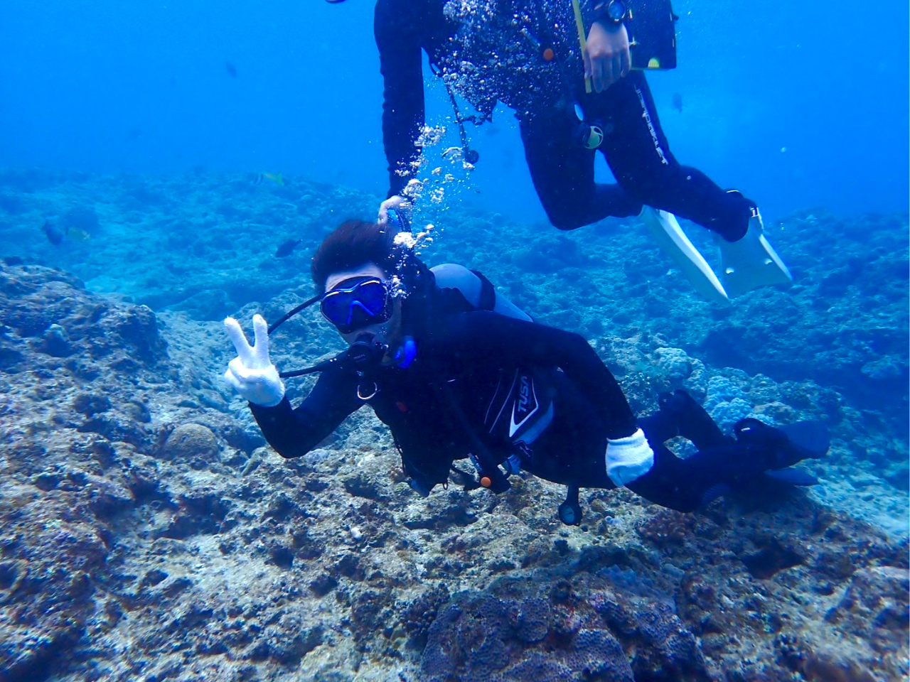 �_�C�r���O���i